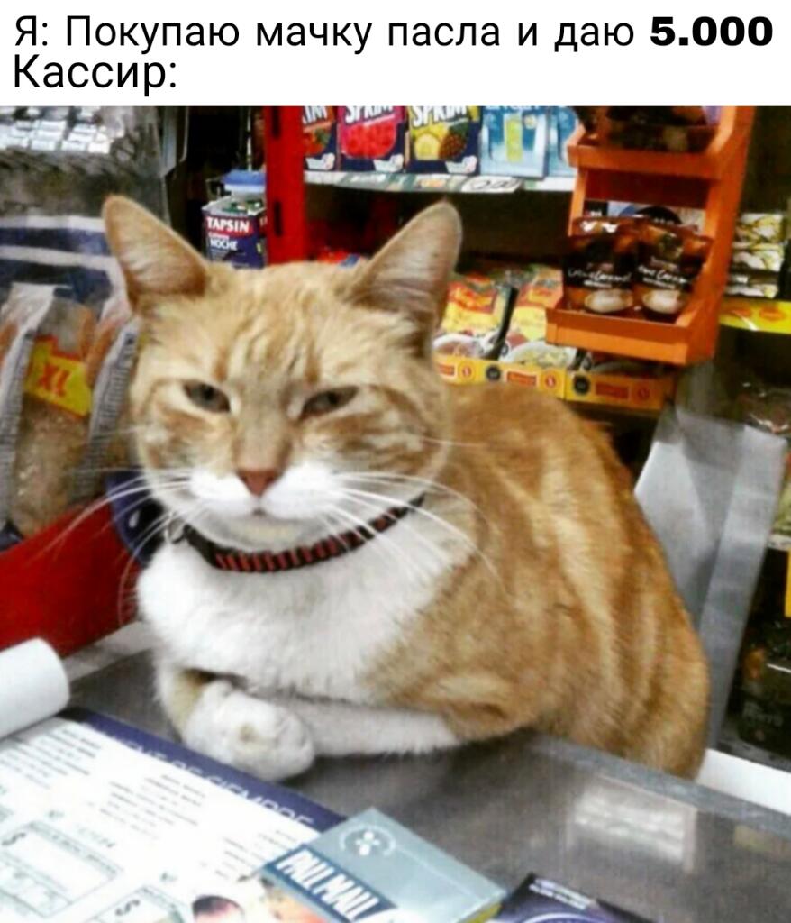 Мем от Коржик