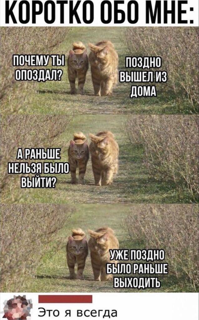 Мем от ГУП "НМТ"