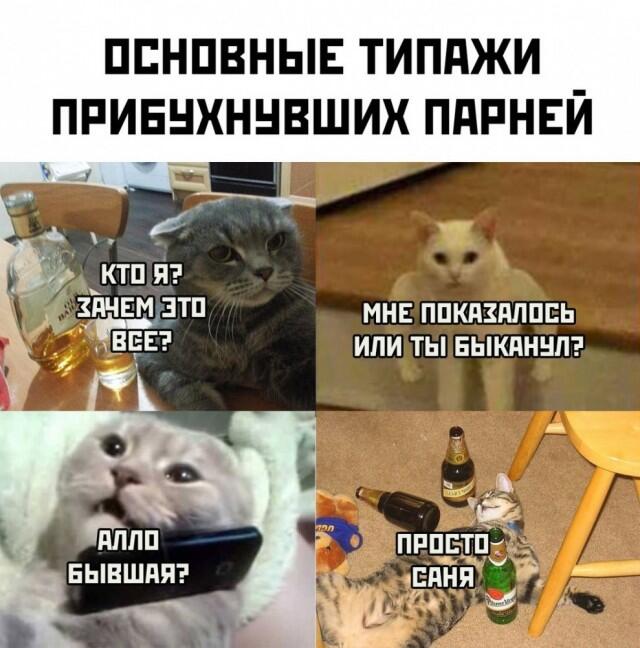 Жиза