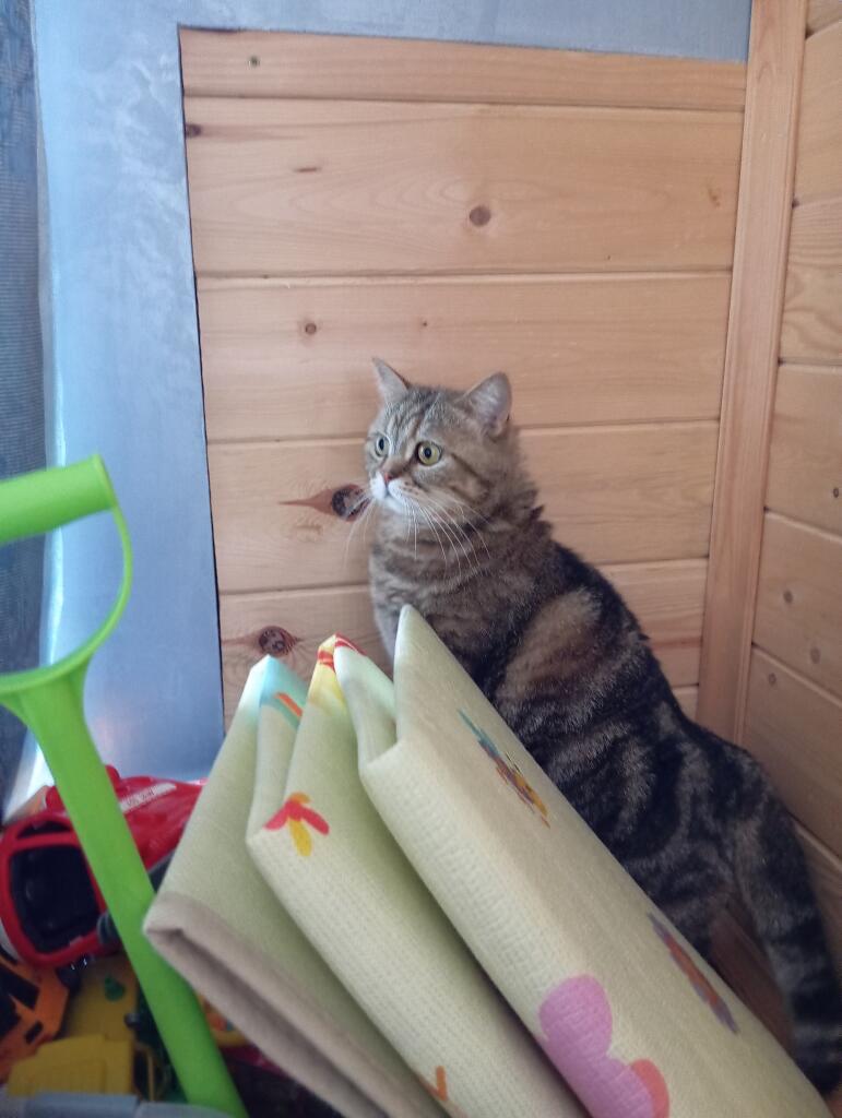 • Когда приехал на дачу отдыхать, но бабушка уже приготовила для тебя...