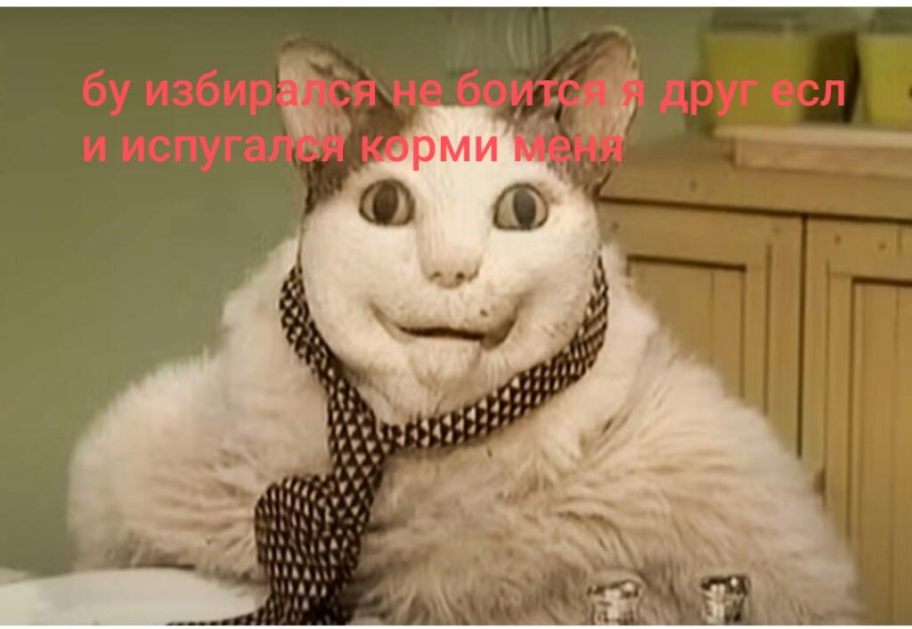 Когда я пришол из школы 
Кот: