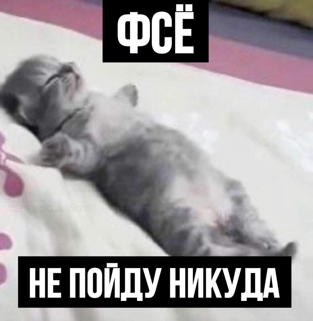Мем от Алексей Сова