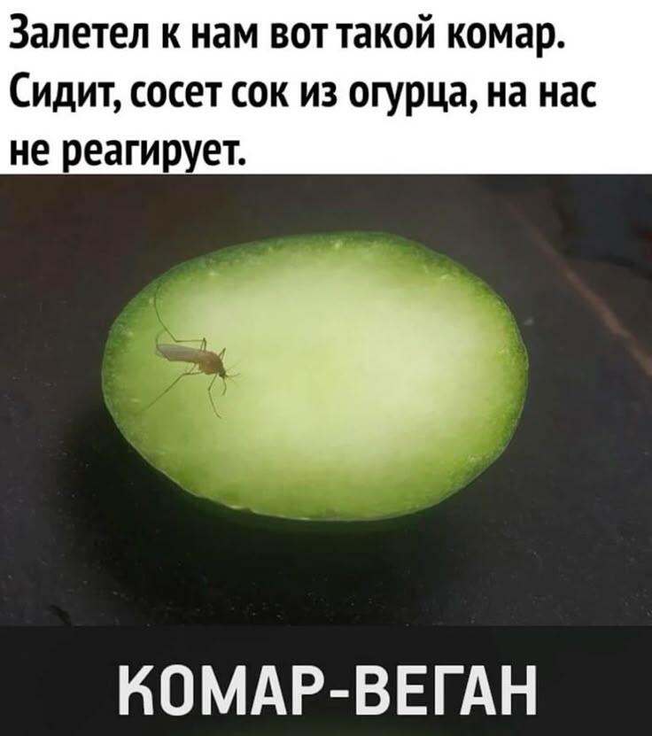 Мем от Ироник{ПЛМ}