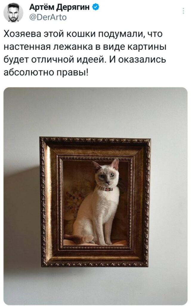 Мем без подписи