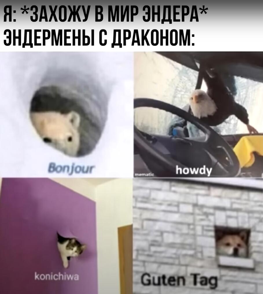 Пивро ырофмри арыоаиы
