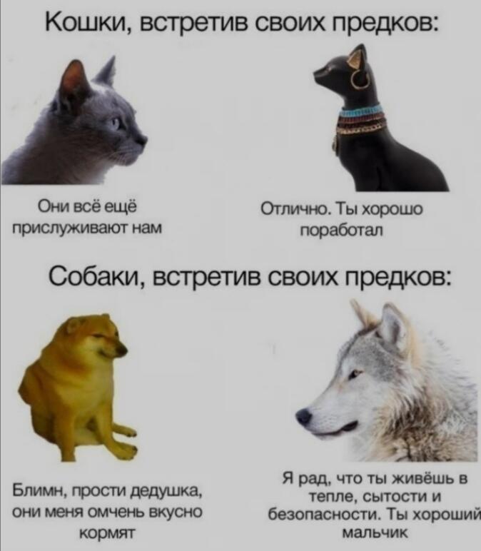 Мем без подписи