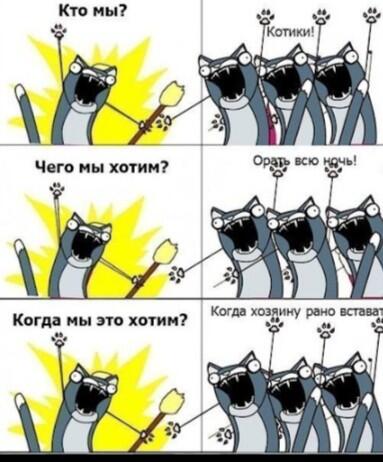 Ну котики!
