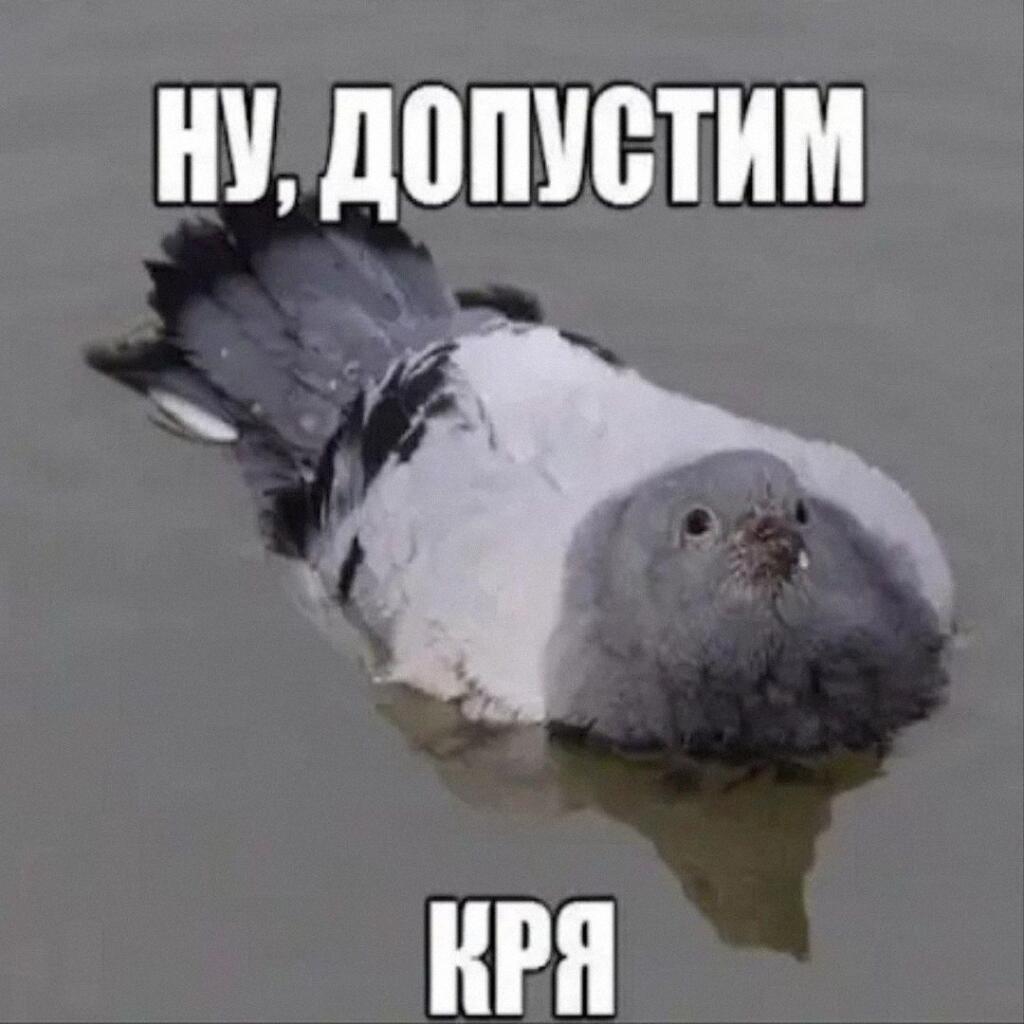 Держите вам лебедя