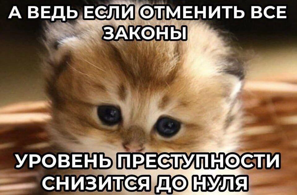 Мем от Милый Котяра