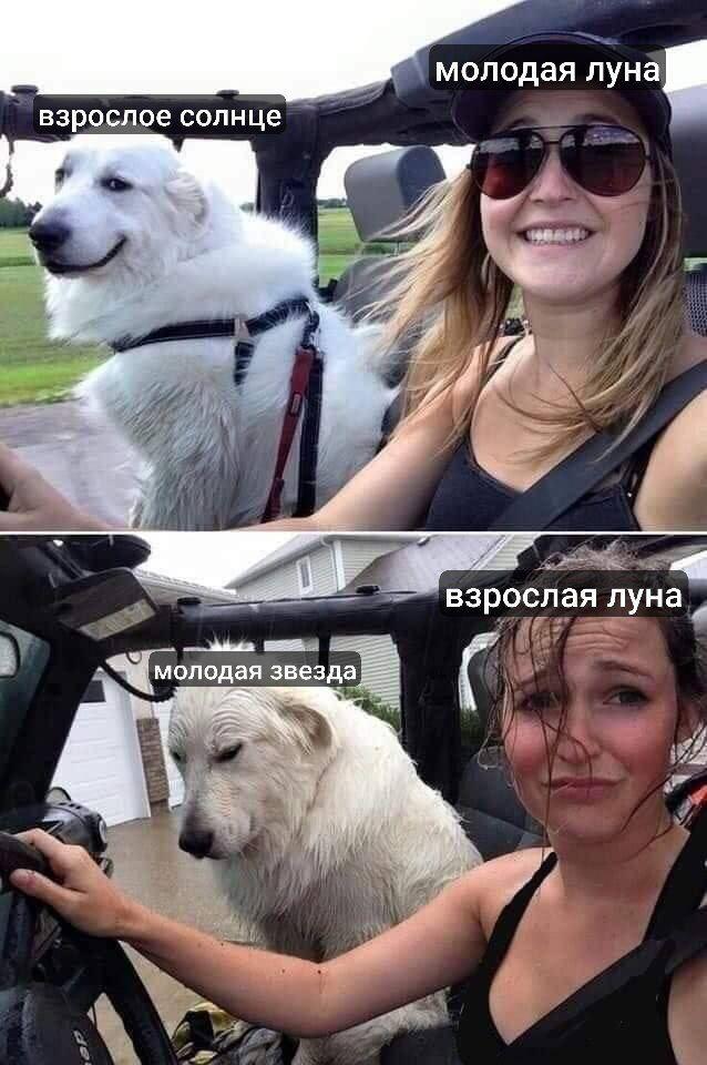 обещаю, когда в оркестре появится звезда, мы будем с ней выглядеть именно так