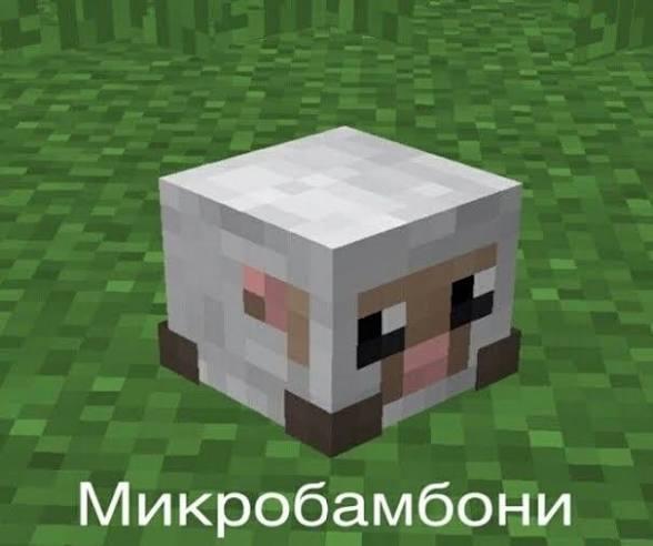 Вы видели его выши действия