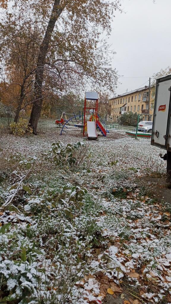 Рука держит ветку, покрытую первым снегом, на фоне осенних листьев (2 из 2)
