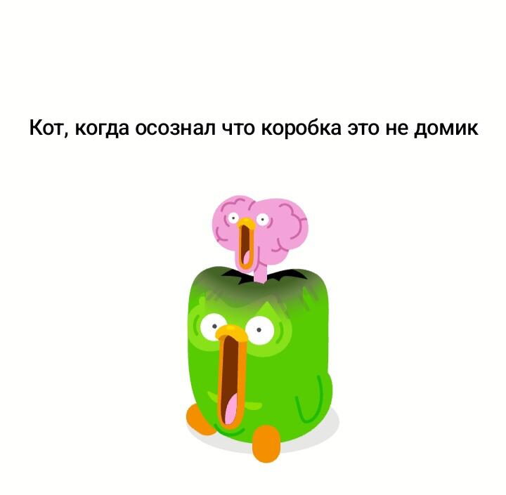 Мы не понимаем, коты так видят