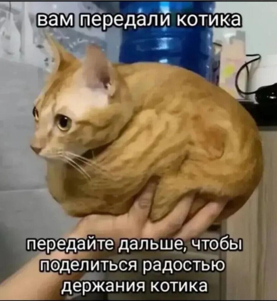 передавайте не задерживайте пусть все порадуются