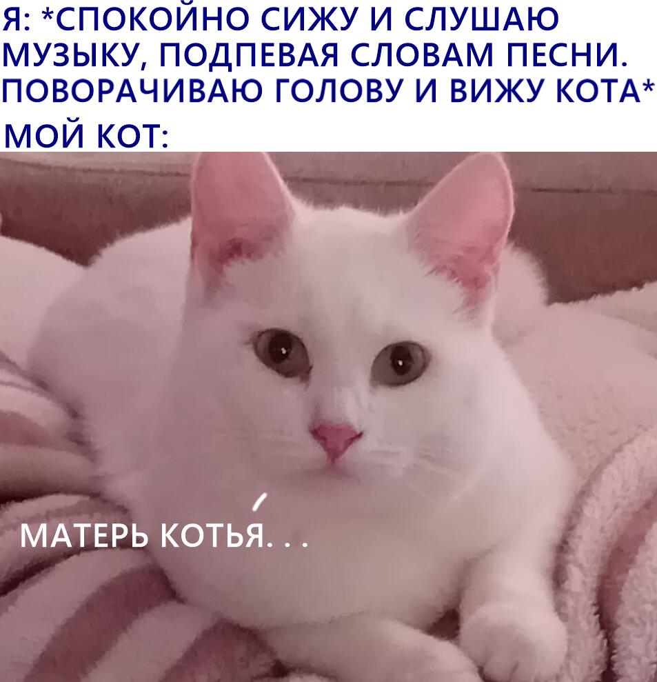 Фото сделано буквально сегодня. Снежок явно в шоке с моих вокальных данных "Х)