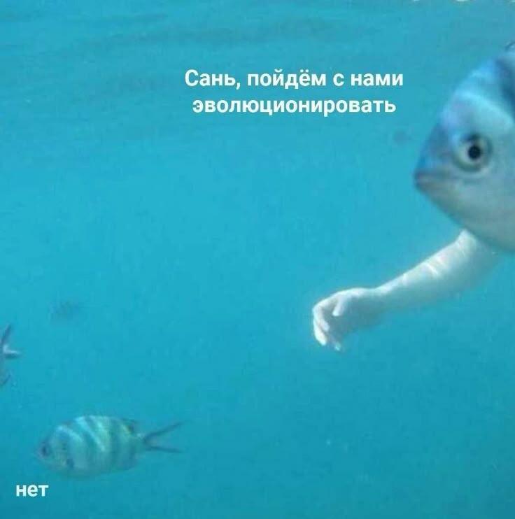 Сашко, ну пошли 😭