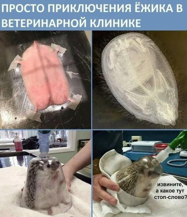 Мем от Ироник{ПЛМ}