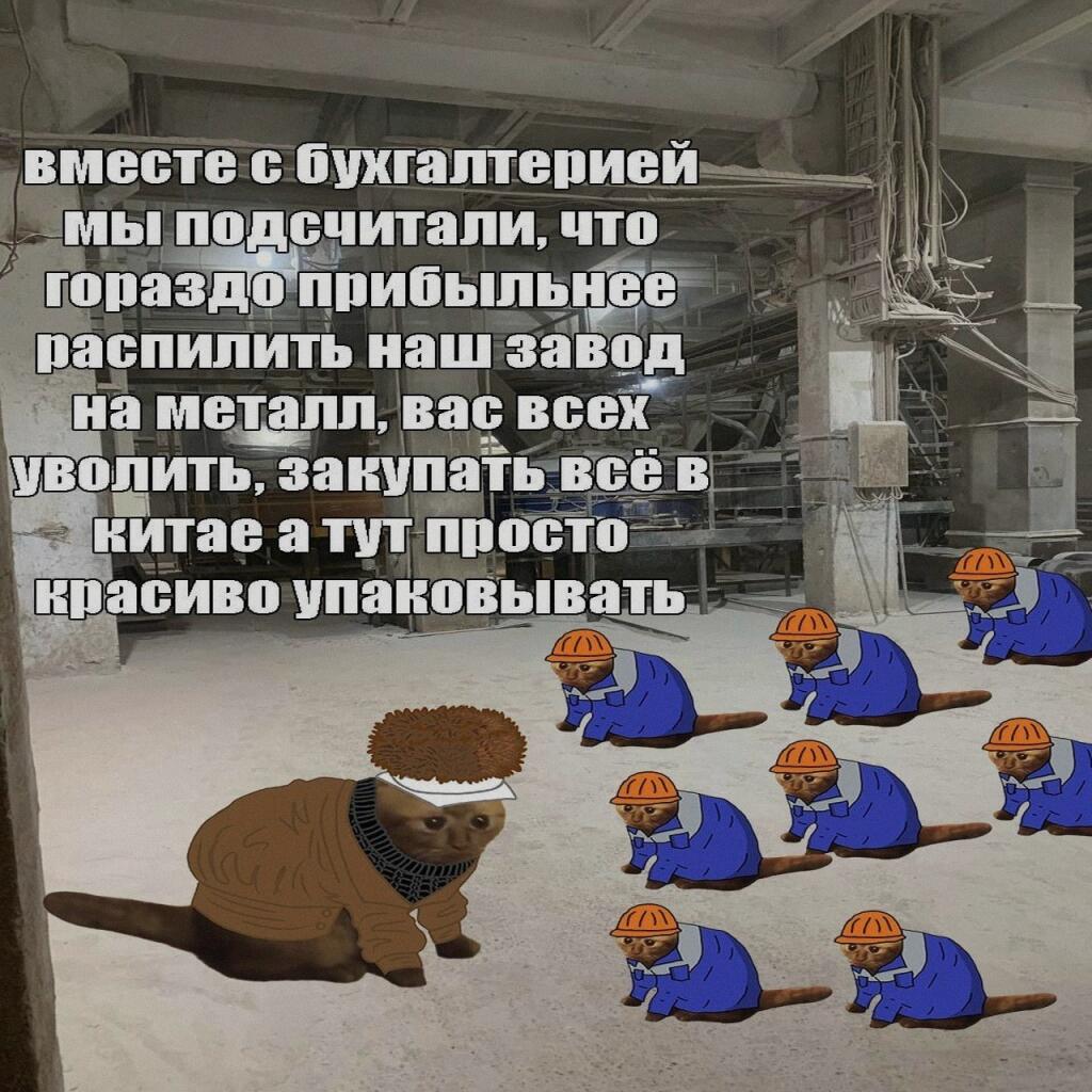 Мем от Милый Котяра