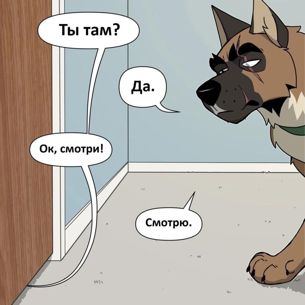 Мем без подписи
