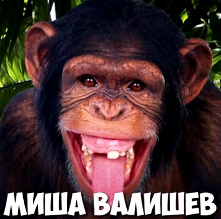 этом прям эвент таирикуса какой то вышел