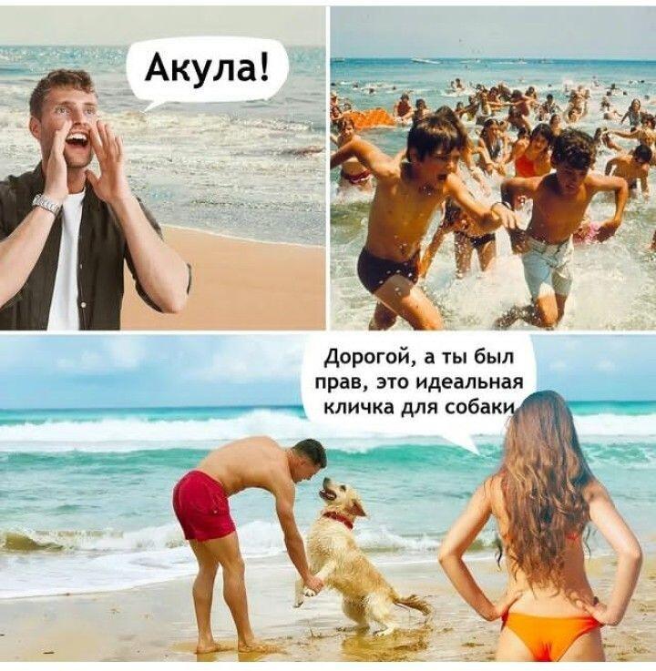 Мем от 🌸💥|цвяточный ад {ПЛМ}
