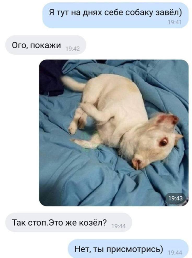 Мем от misfortune official