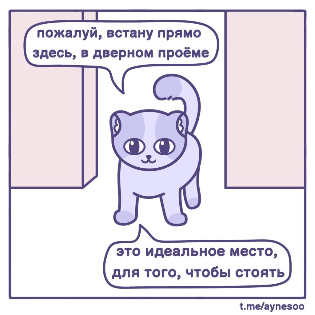 Мем без подписи