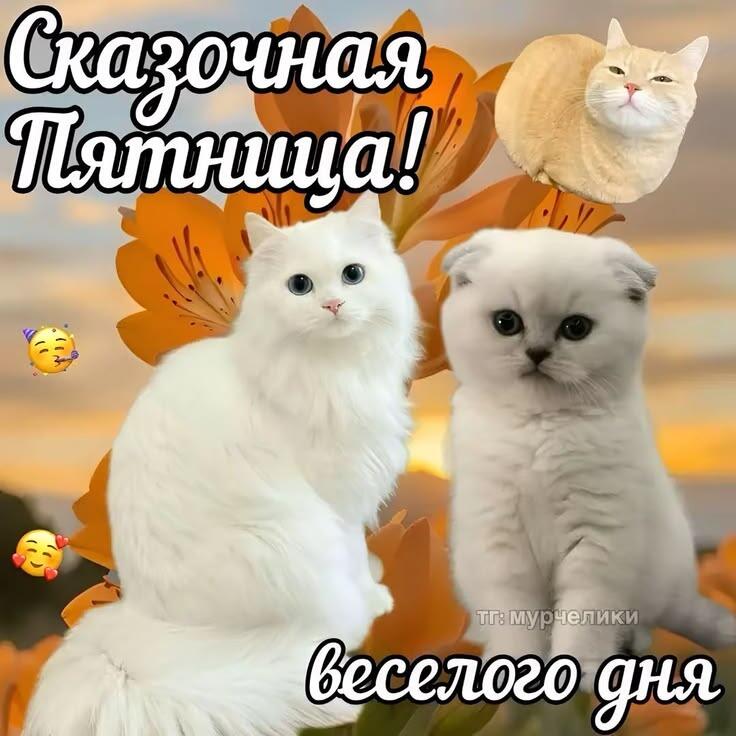 С Добрым Утром,Мемозг!