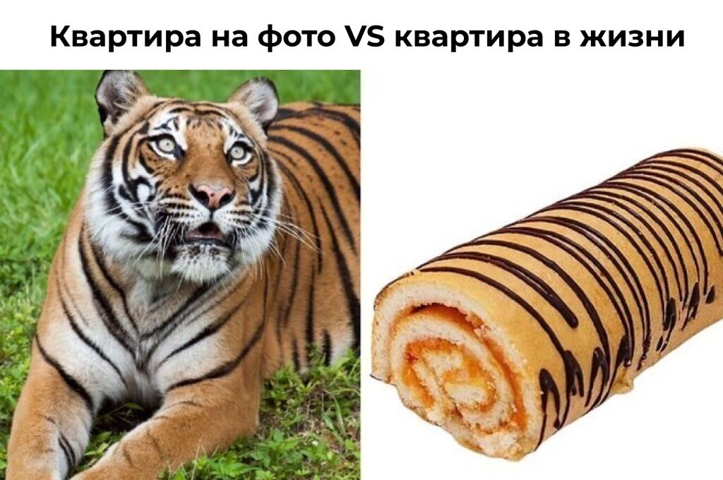Мем без подписи