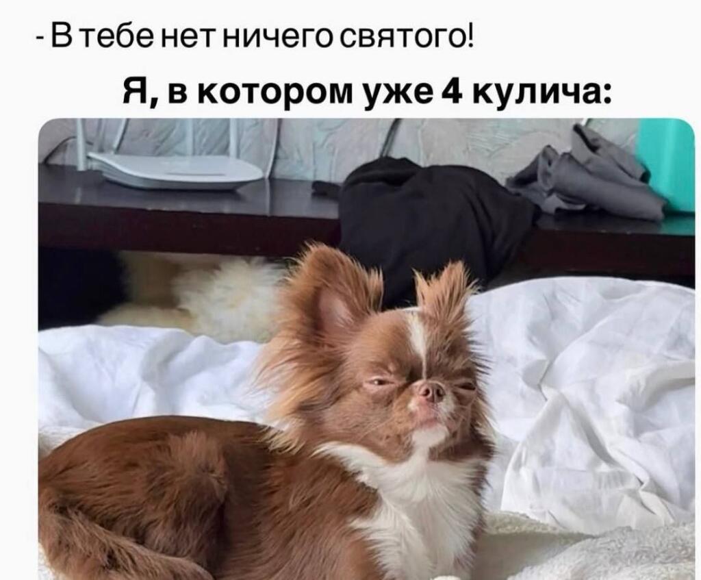 Мем от Коржик