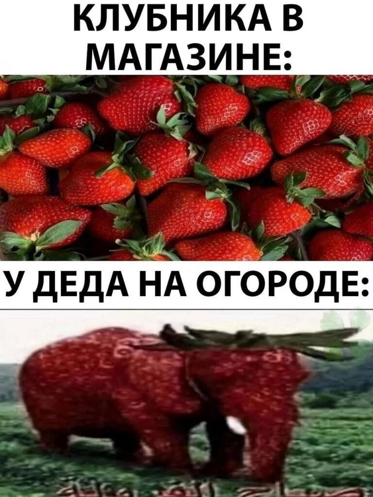 Мем от Pin_NeWalker