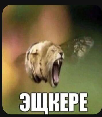 никто:
абсолютно никто:
 тот самый чел посреди урока