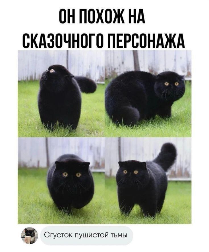 Мем от Ироник{ПЛМ}