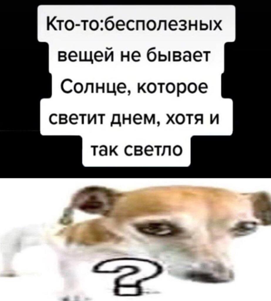 Спрашивается