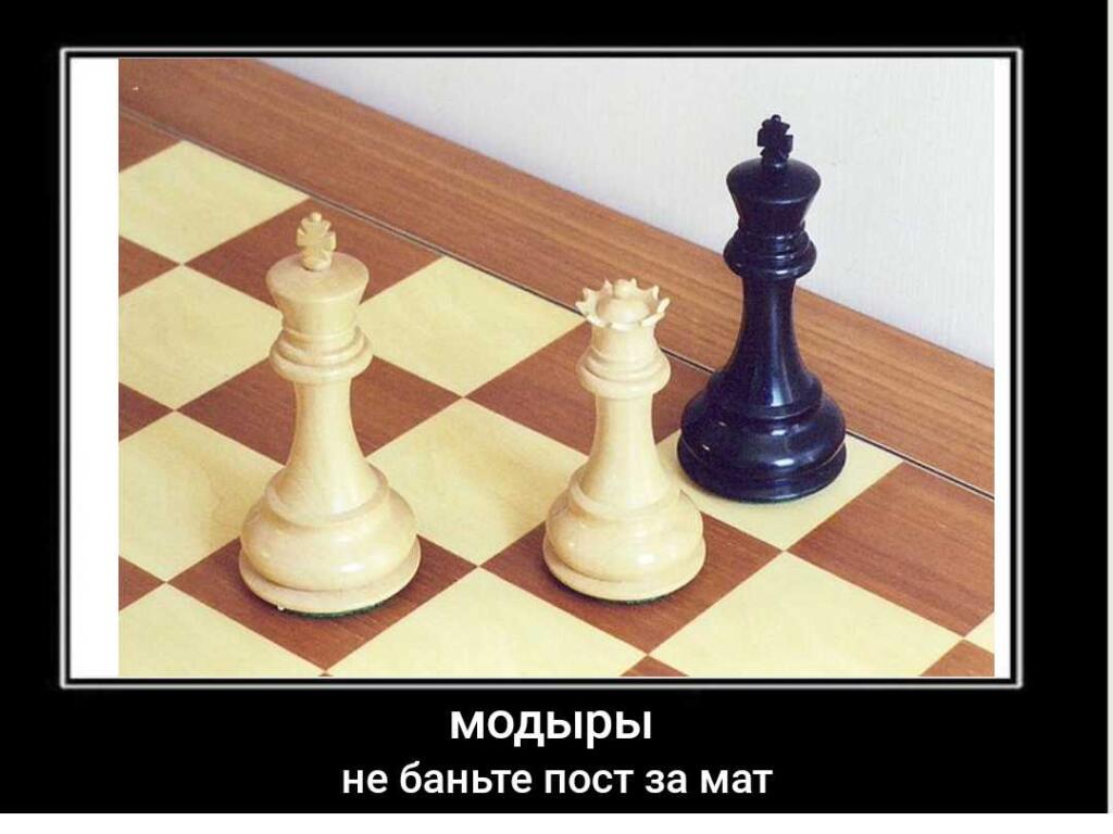 Мем от Очкастый магнит [ПЛМ]