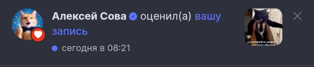 Скриншот уведомления о лайке от пользователя Melony и миниатюра мема с котом в дверном проёме и подписью «я менеджер не закрываю двери (2 из 2)