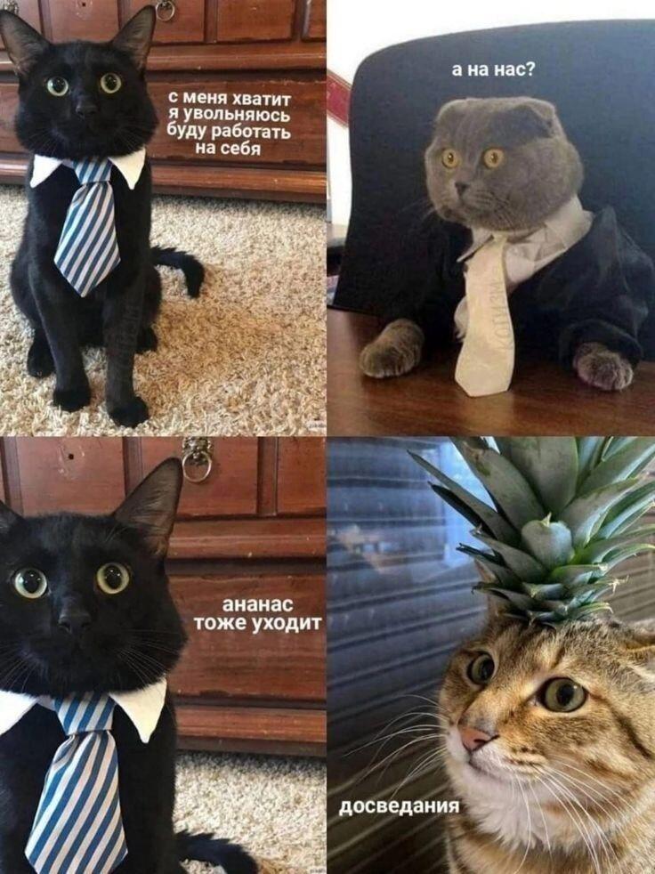 А чо в смысле