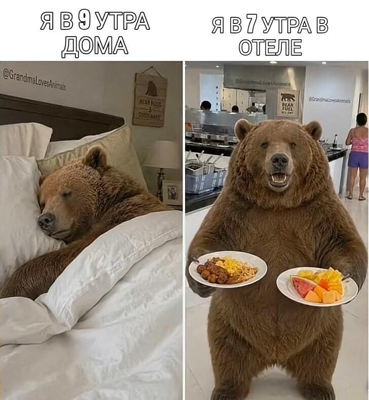 День 25 я жду когда @sova a  подпишется на меня