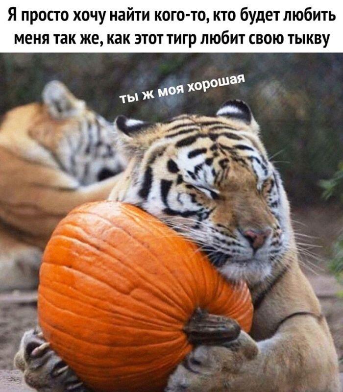 Мем от Фантоккио Великий 2.0