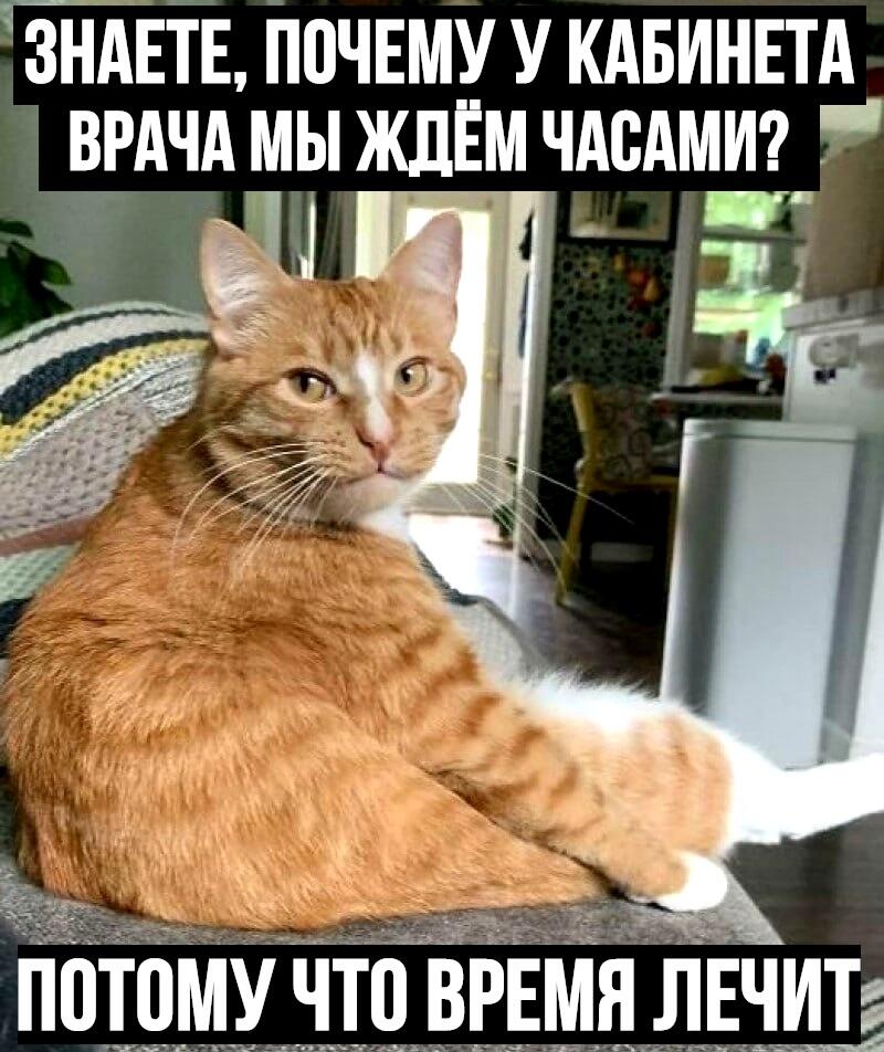 Мем от Алексей Сова