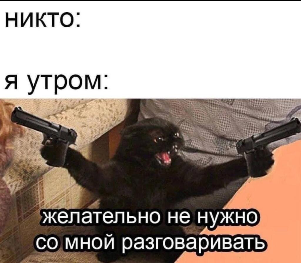 Мем от КотоУт