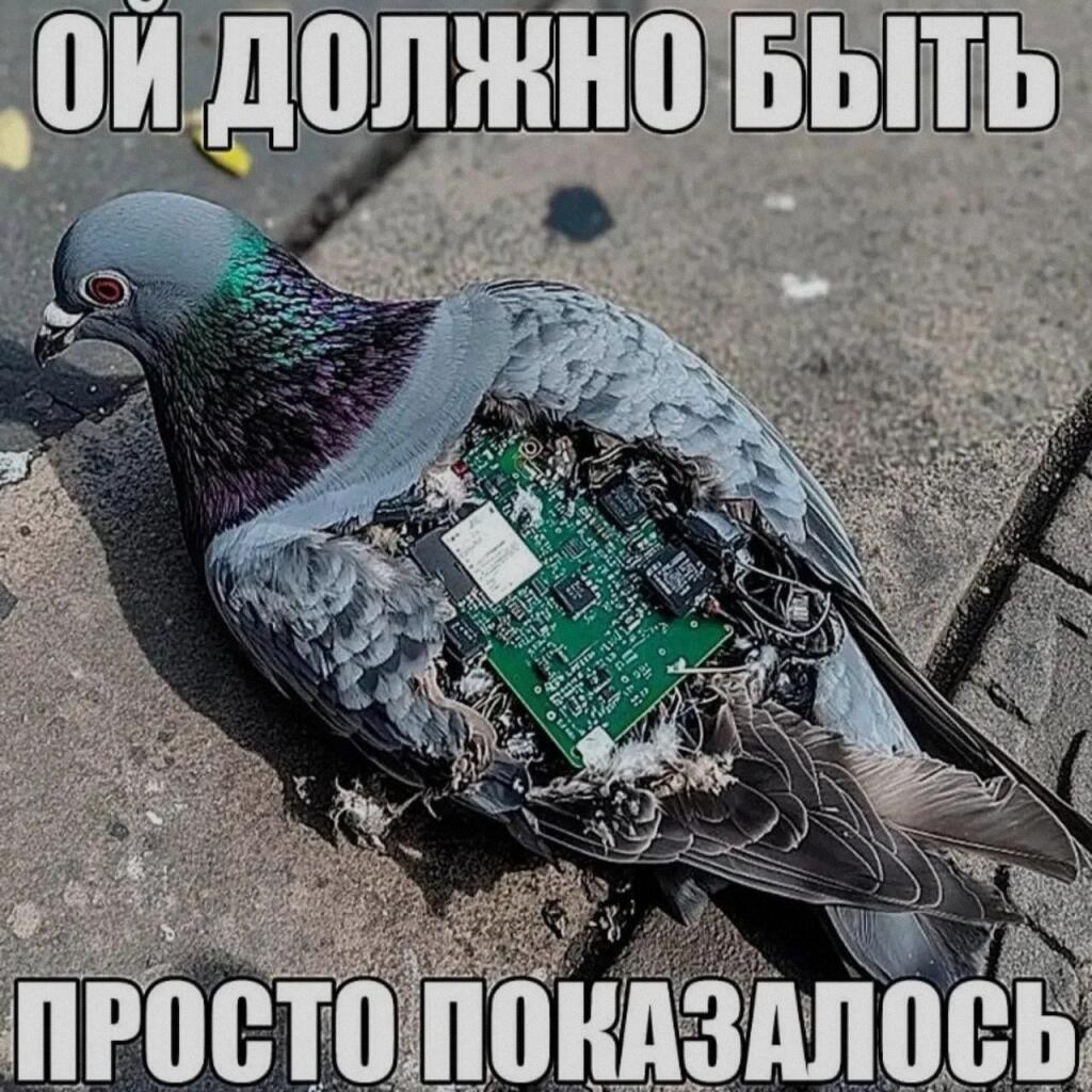 Мем от Милый Котяра