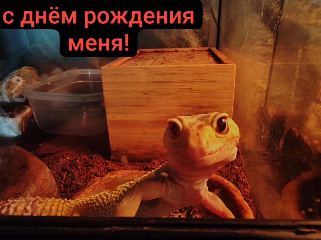 ПАНСЛАВЯНСКА КИРИЛИЦА (меджусловјанскы вариант):
ДРАГЫ ПОДПИСНИКЫ!
Днесь јест надмјерно важны ден за мене, а такоже за м