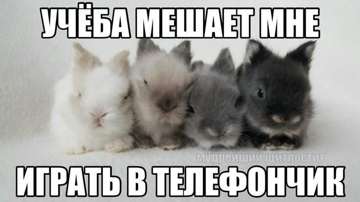 И рисовать глупенькие рисуночьки :(