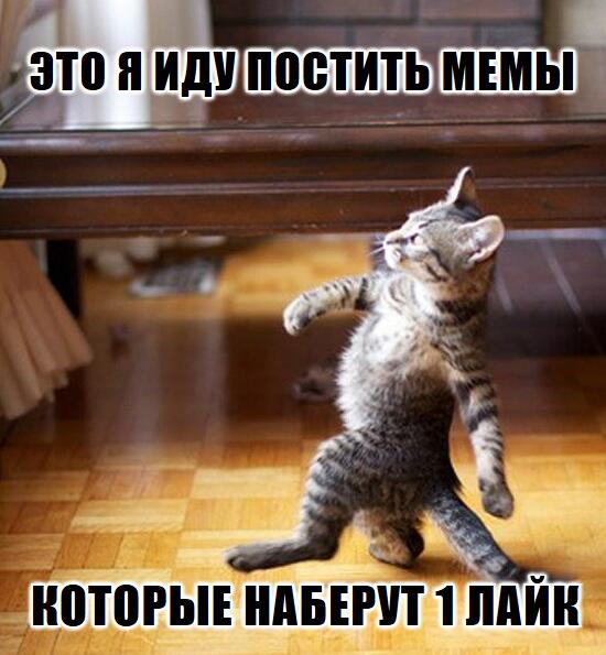 Мем без подписи