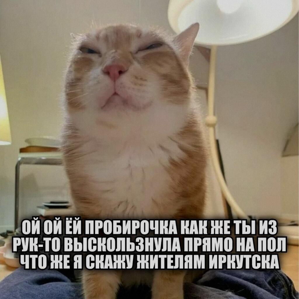 Мем от Маэстро[ПЛМ]
