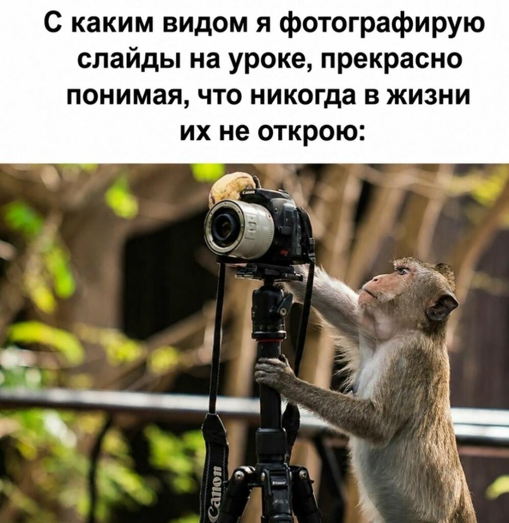 Мем без подписи