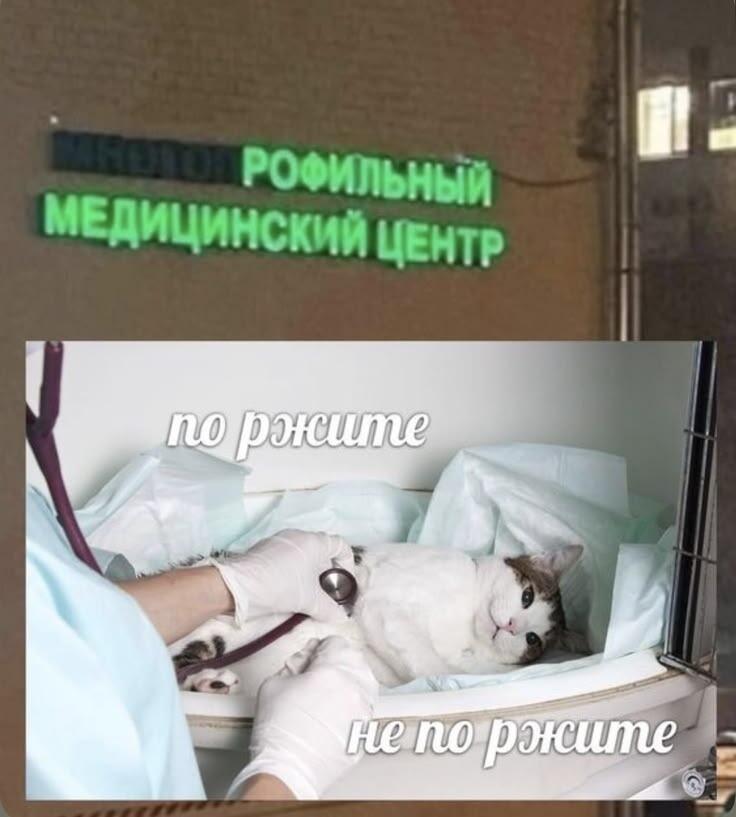 Где лечиться мемозг: