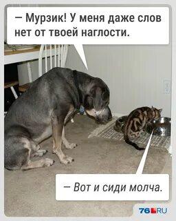 Мем без подписи