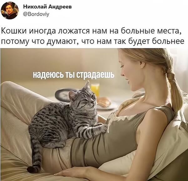 dhfym```